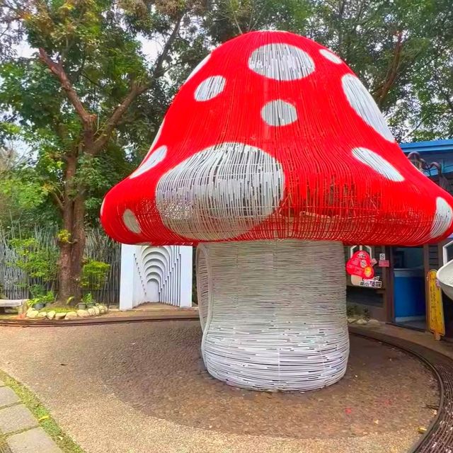 <Taichung>💞💞💞💞Carton King Creative Park