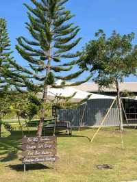 Skugga farm คาเฟ่เชียงใหม่