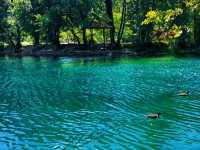 Una National Park: Where Water Dances Through the Wild 