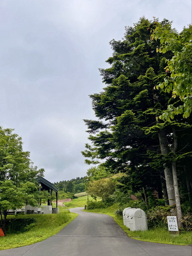【北海道利尻島】利尻島ファミリーキャンプ場ゆーに✨