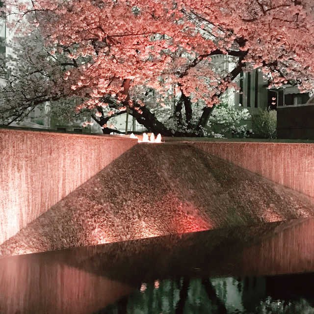 🌸春爛漫!桜と花に彩られる横浜さんぽ:海岸教会からガーデンフェスまで🌷 🌸春爛漫!桜と花に彩られる横浜さんぽ:海岸教会からガーデンフェスまで🌷