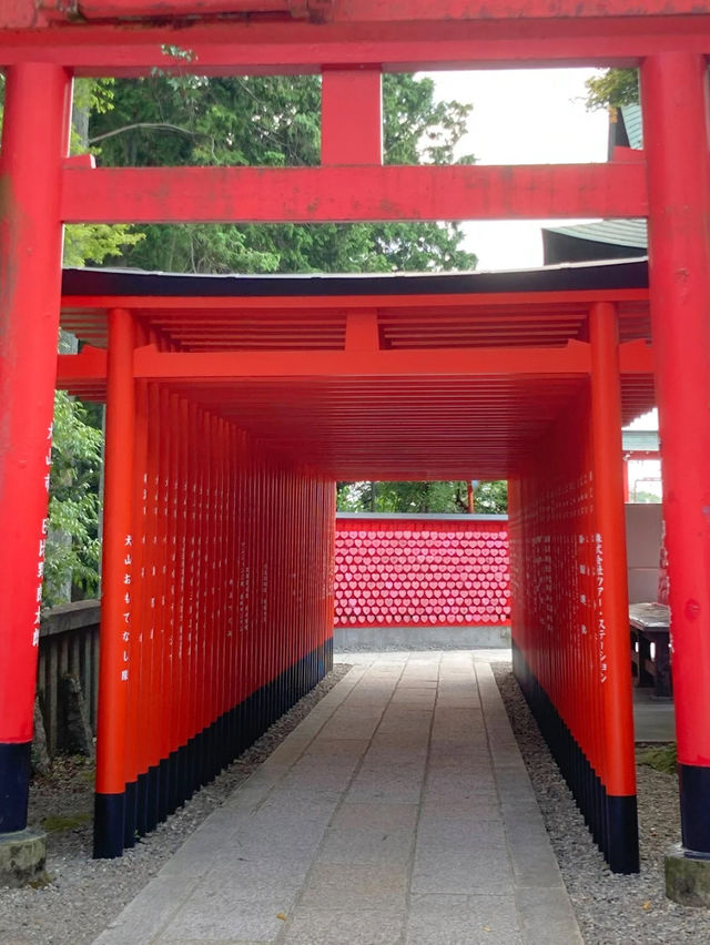 【最強インスタ映え神社】 鳥居が映える犬山の稲荷神社