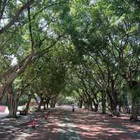 Exploring the Leshan Area, Sacred Cliffs and River Views
