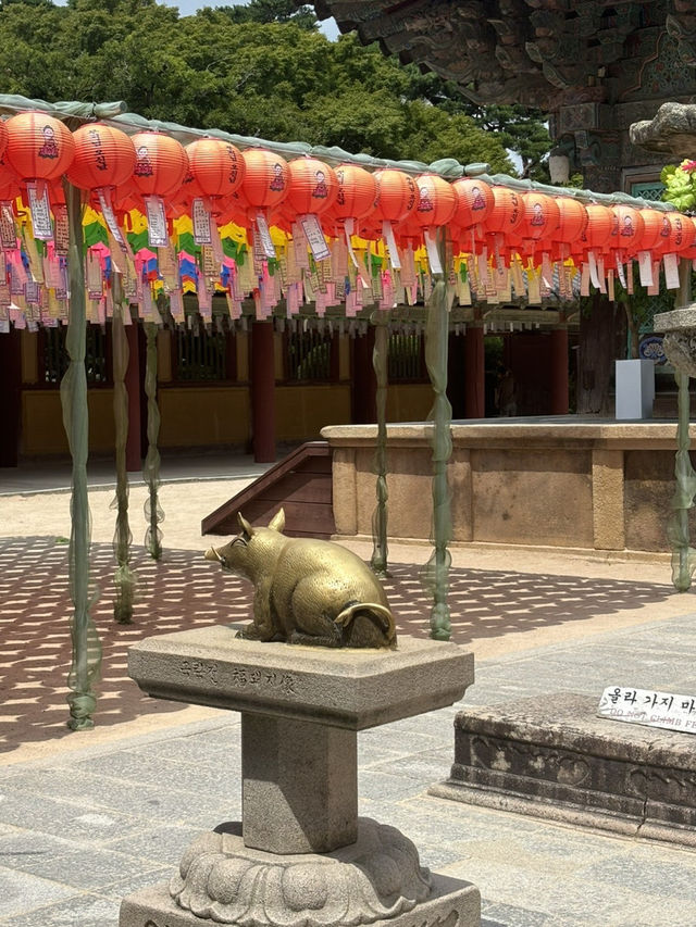1박2일 경주여행