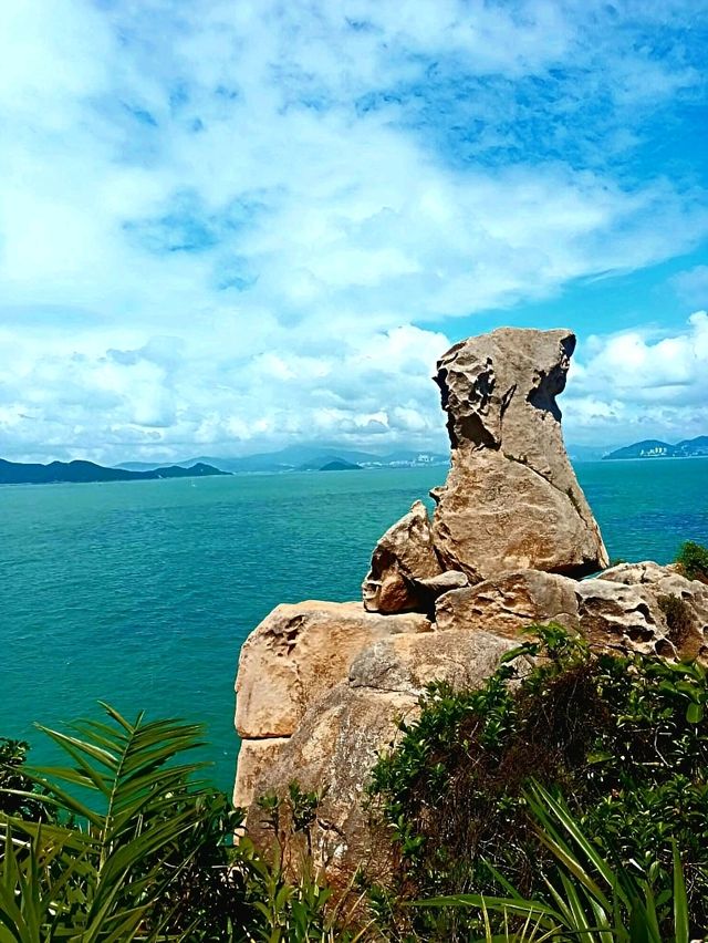 Panoramic Views from the Top