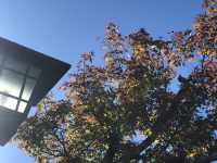 🌉천천히 걸으며 일본을 느끼다 – 히로시마 이와쿠니 긴타이교 여행기