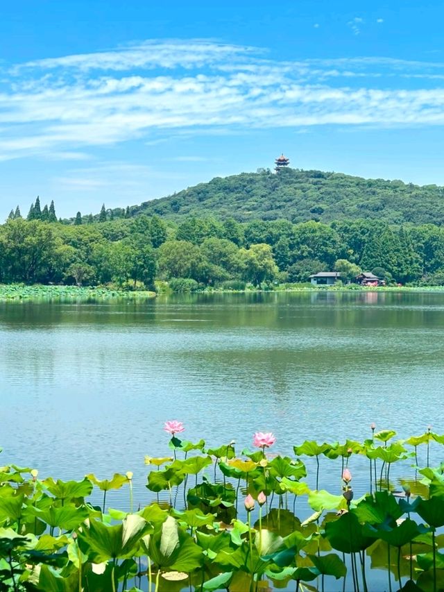 Why Taihu Lake Should Be Your Next Escape