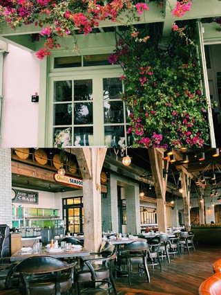 A day in Los Angeles, a city filled with sunshine and freedom