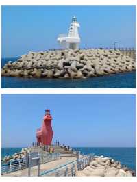 ✨ Twin Horse Lighthouses by the Sea 🌊 