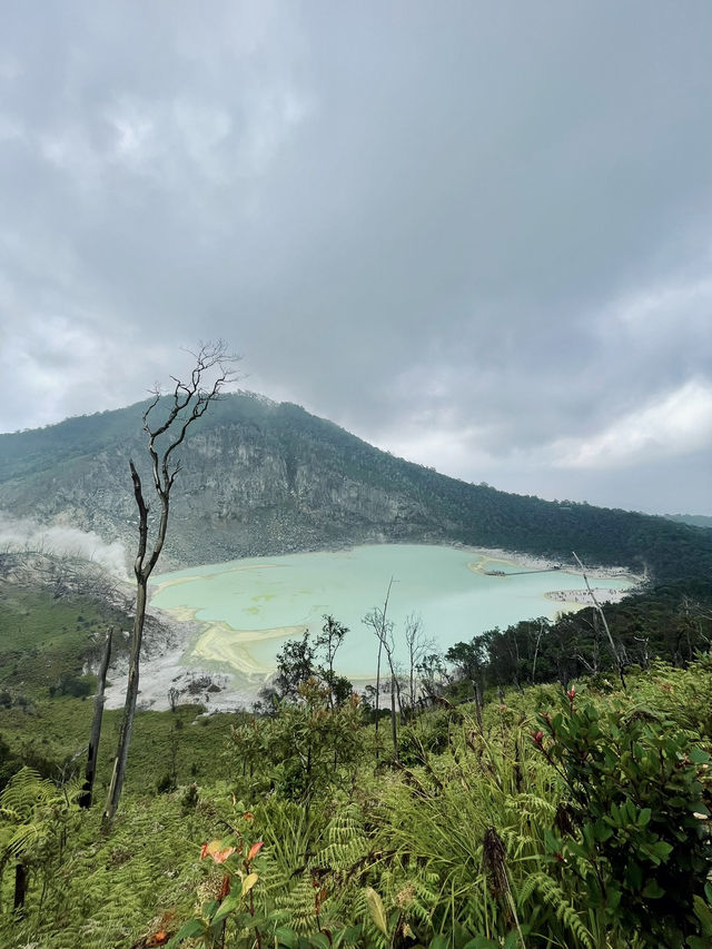 🇮🇩 Kawah Putih: A Beautiful Crater 🇮🇩 Kawah Putih: A Beautiful Crater
