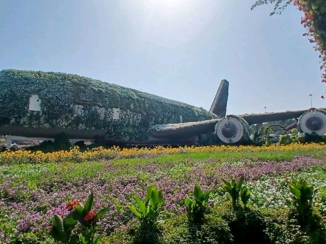 Miracle Garden