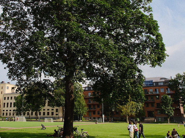 스톡홀름, 물 위의 도시 스톡홀름, 물 위의 도시