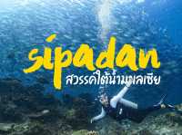 ดำน้ำที่ สิปาดัน สวรรค์ใต้น้ำ มาเลเซีย