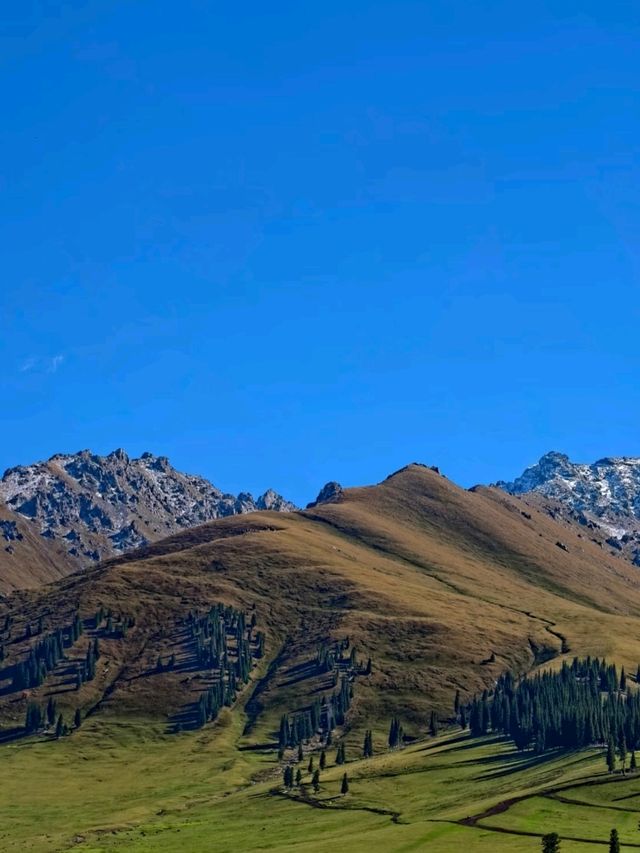 Nalati: A Timeless Nomadic Paradise