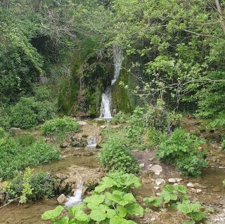 น้ำตก Leixlip – การรั่วไหลของคลองและแม่น้ำไรย์