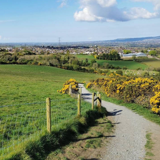 Lisnabreeny & Cregagh Glen – National Trust’s Woodland Escape with ...