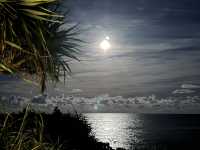 沖繩東海岸之美