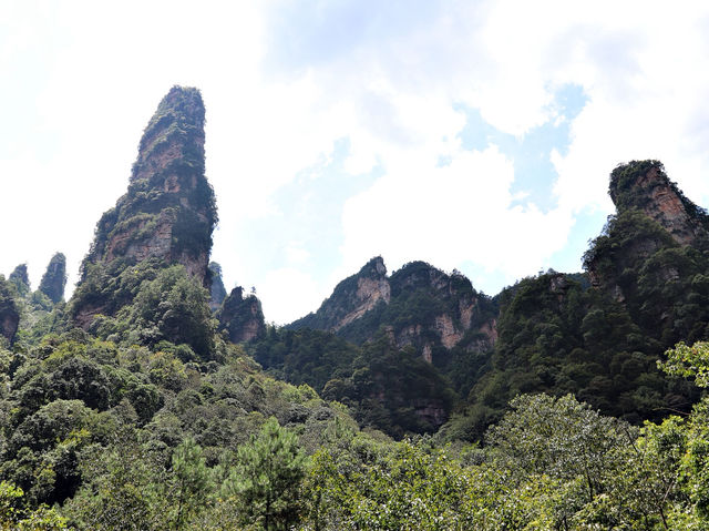 🏞️ 장가계 황석채 여행기 👍 🏞️ 장가계 황석채 여행기 👍