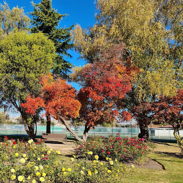 Pollard Park – Blenheim’s Lush Haven of Garden, Stream & Community Pollard Park – Blenheim’s Lush Haven of Garden, Stream & Community