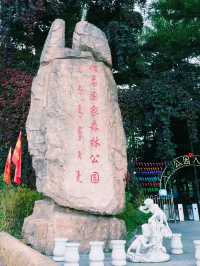 瀋陽.猴石國家森林公園