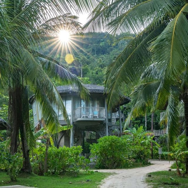 TreeHouse Villas  Koh Yao