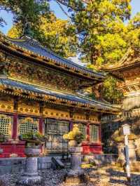 🍁✨ Nikko – The “Autumn Leaf Paradise” of Tochigi ✨🍂