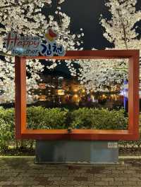 🌸⛩️ 경상북도 자연여행 – 경주 & 김천 힐링코스