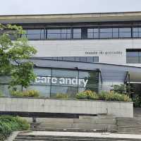 Musée de Grenoble – Where Modern Art Meets Alpine Spirit