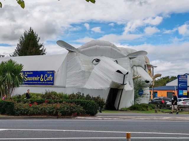 Tīrau: New Zealand's Quirky Corrugated Iron Town