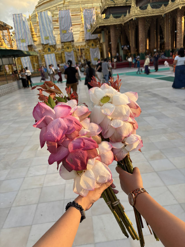 The most sacred golden Buddhist temple in Myanmar: Shwedagon Pagoda ✨