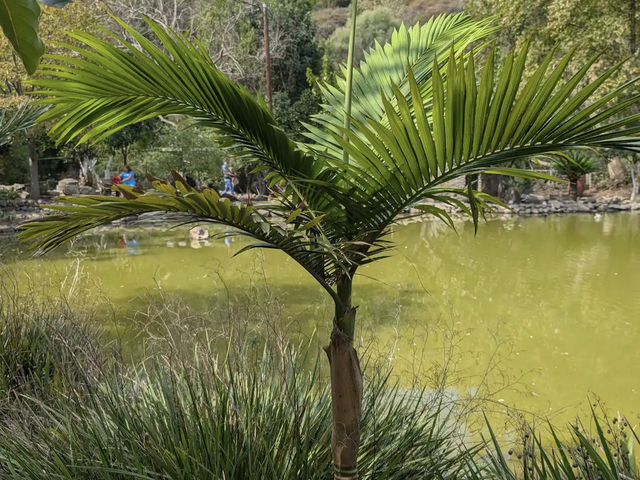 Botanical Garden of Crete