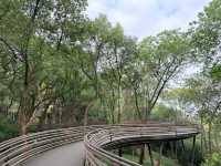 Enchanting Experience at White Snake Bridge