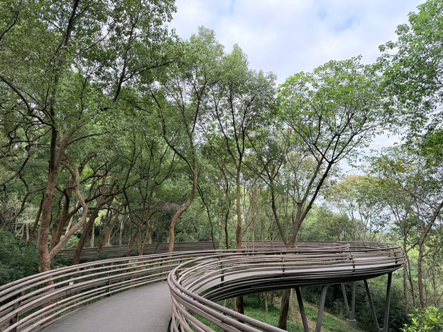 Enchanting Experience at White Snake Bridge