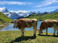 lake Bachalpsee