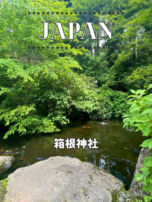 【神奈川】⛩️箱根神社──芦ノ湖に佇む絶景のパワースポット 