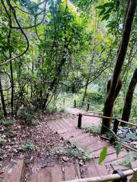 เส้นทางศึกษาธรรมชาติผาดอกเสี้ยว