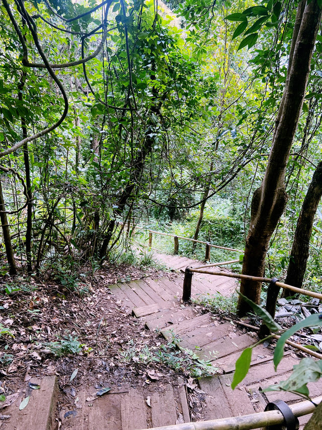 เส้นทางศึกษาธรรมชาติผาดอกเสี้ยว เส้นทางศึกษาธรรมชาติผาดอกเสี้ยว