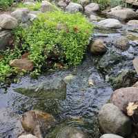 Minnetrista Museum & Gardens – Celebrating Art, Culture, and Nature in Muncie