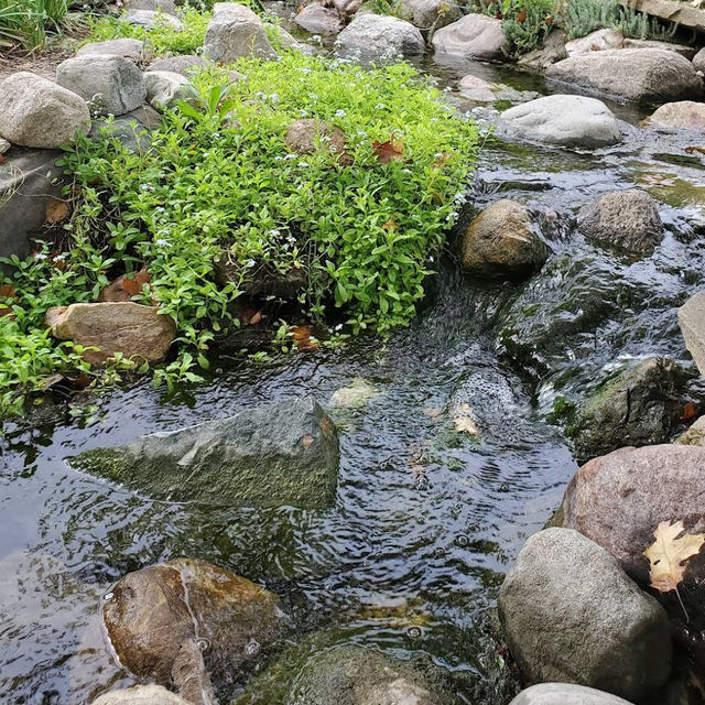 Minnetrista Museum & Gardens – Celebrating Art, Culture, and Nature in Muncie