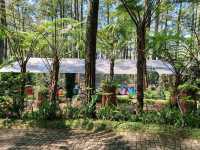 Orchid Forest Cikole, Bandung