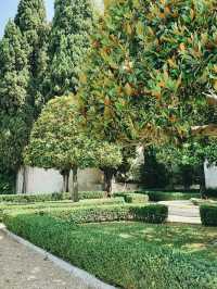 A Renaissance Reverie: A Solo Spring Visit to Villa Medici, Fiesole