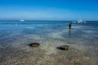 Doljo Beach - Starfish everywhere!