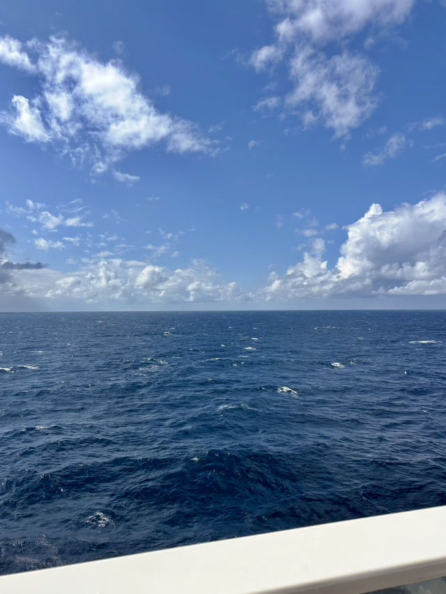 海洋光譜號船上攻略｜登船必做➕吃喝玩樂指南🧭