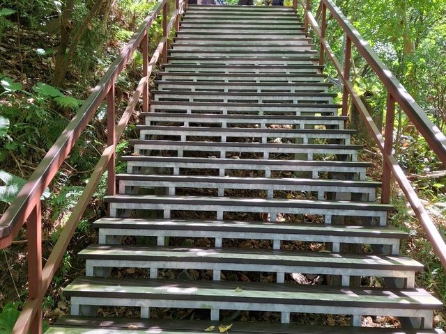 The Bright Fuzhou Shan Park in Da'an District, Taipei City, Taiwan The Bright Fuzhou Shan Park in Da'an District, Taipei City, Taiwan