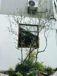 Slow Café Life in Nanjing