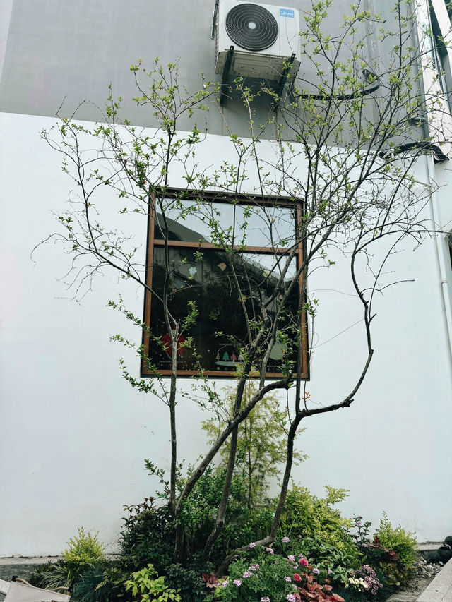 Slow Café Life in Nanjing