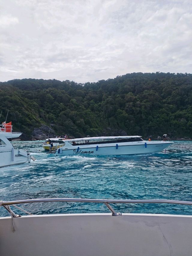 Pulau Payar: Crystal Clear Vibes & Chill Beach Adventures 🏝️✨