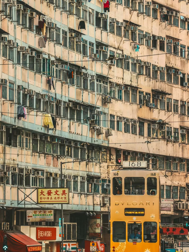 Hong Kong Citywalk🚶♂️📸: Epic Photo Spots & Ultimate Vibes 🚶♂️✨ Hong Kong Citywalk🚶♂️📸: Epic Photo Spots & Ultimate Vibes 🚶♂️✨