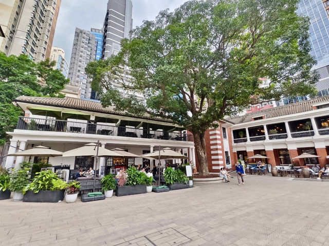 《中環大館・漫步古蹟與藝術之間的午後》