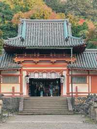 【奈良市】学問の神様も歌を詠んだ紅葉名所『手向山八幡宮』